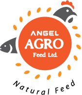 Angel Agro Feed Limited